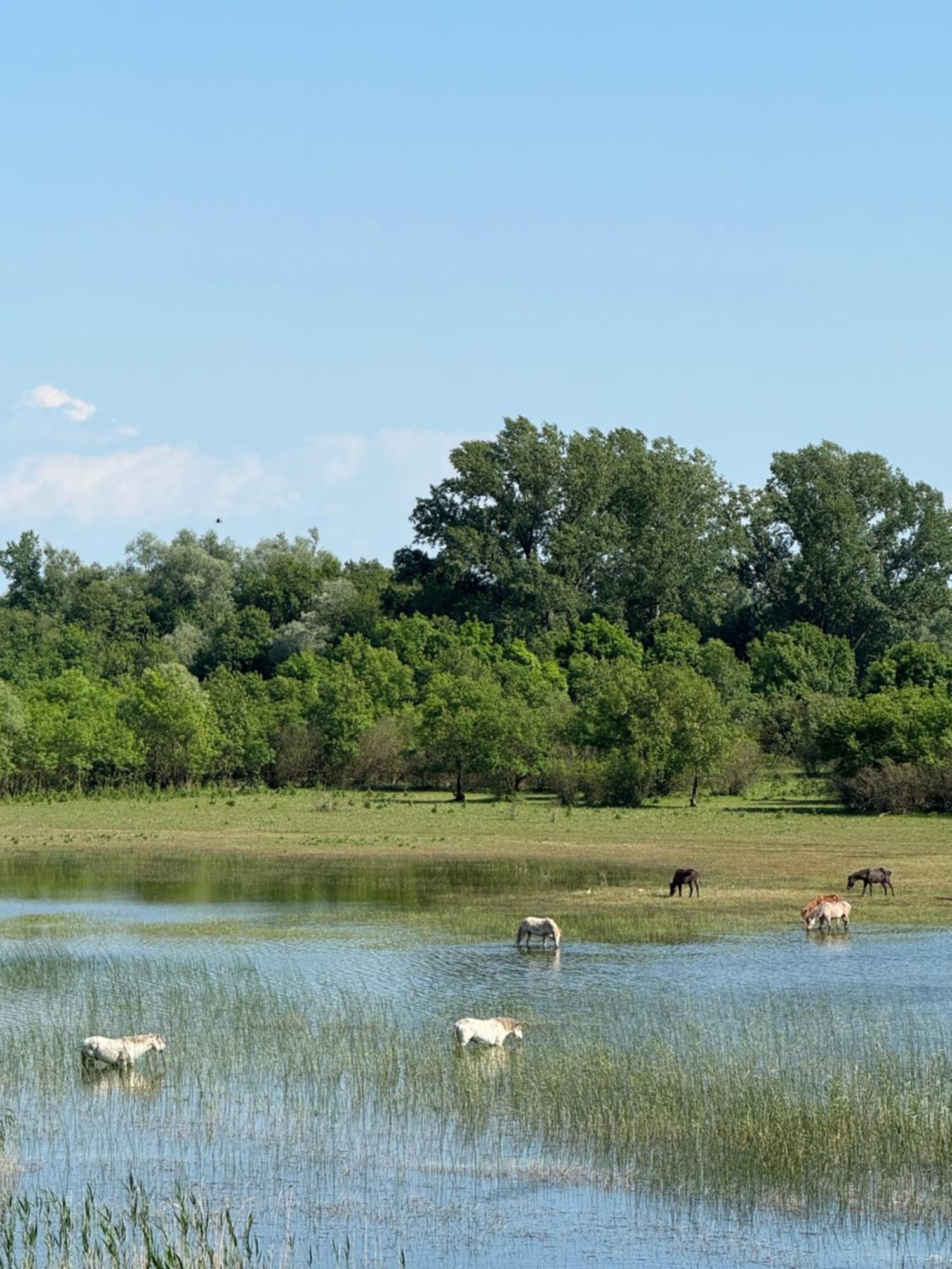 Lake Skadar Paradise Dodosi Exterior foto